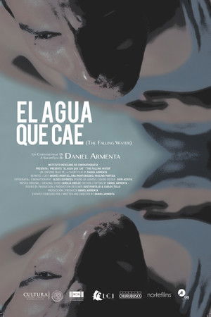 El agua que cae