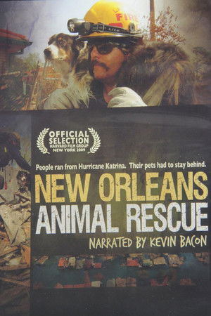 New Orleans Animal Rescue
