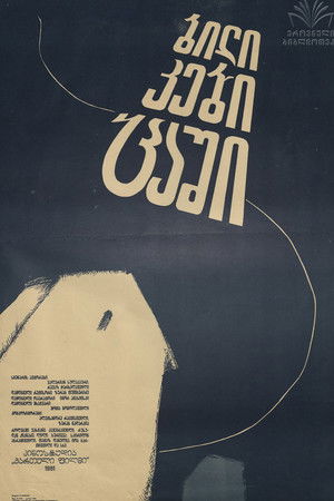 ბილიკები ცაში