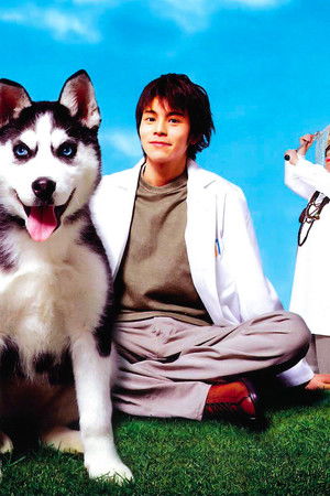 動物のお医者さん