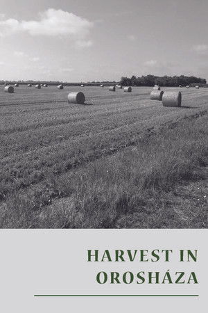 Arat az orosházi 'Dózsa'