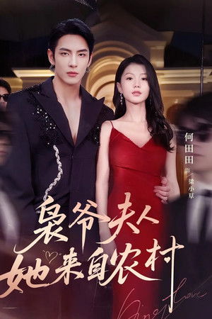 枭爷夫人她来自农村