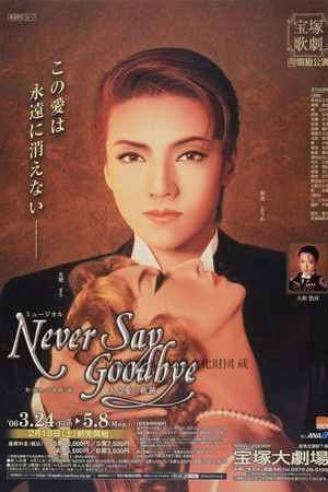 NEVER SAY GOODBYE－ある愛の軌跡－