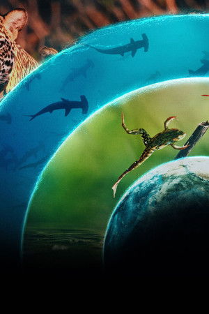 Hayat Dolu Dünyamız