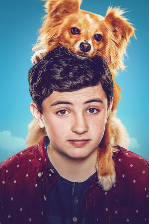 The Healing Powers of Dude