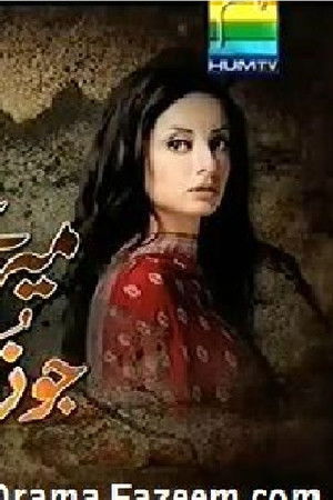 میرے درد کو جو زباں ملے