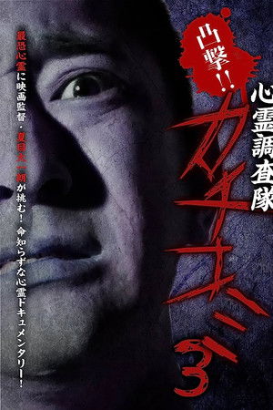 凸撃！！心霊調査隊 カチコミ3