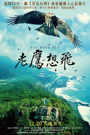 老鷹想飛