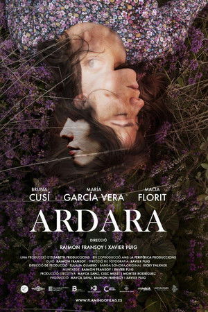 Ardara