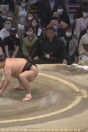 大相撲どすこい研