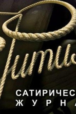 Фитиль (киножурнал)