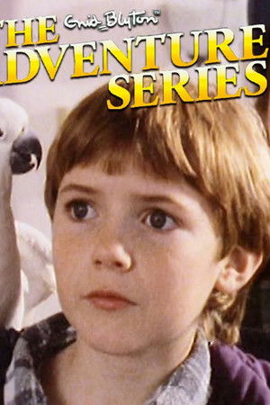 The Enid Blyton Adventure Series