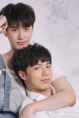 คุณหมีปาฏิหาริย์