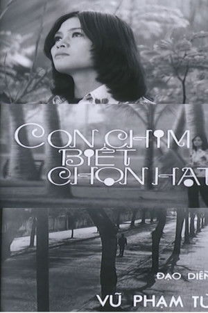 Con Chim Biết Chọn Hạt