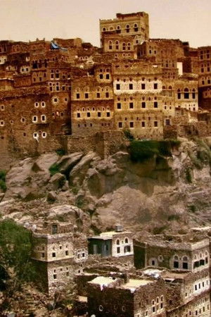 The Frankincense Trail