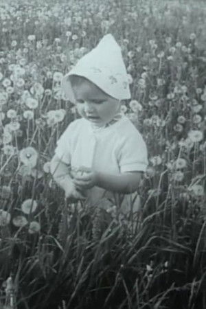 Pro žydinčią liepą