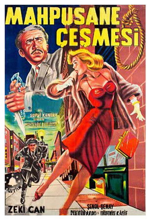 Mahpushane Çeşmesi