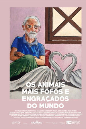 Os Animais Mais Fofos e Engraçados do Mundo