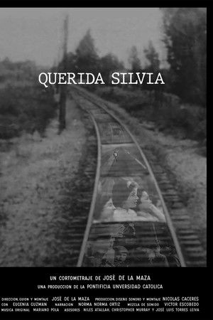Querida Silvia