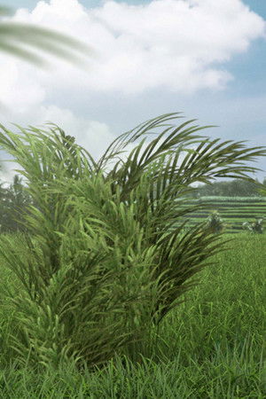 ARTE 360° Reportage