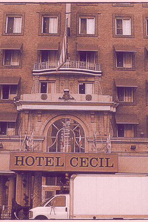 Horror at the Cecil Hotel