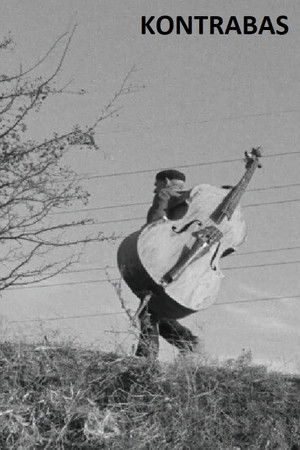 Kontrabas