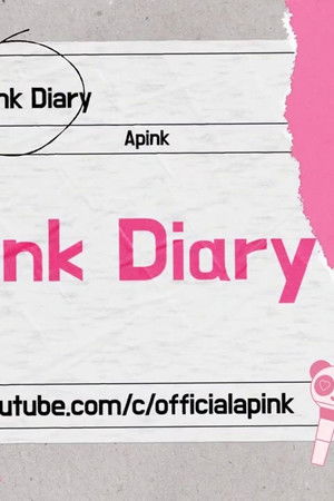 에이핑크 다이어리