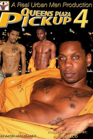 Queens Plaza Pickup 4