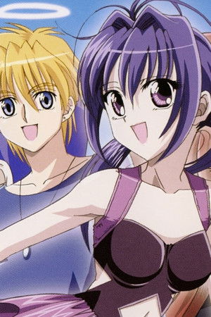 銀盤カレイドスコープ