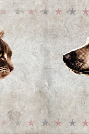 Cat vs. Dog