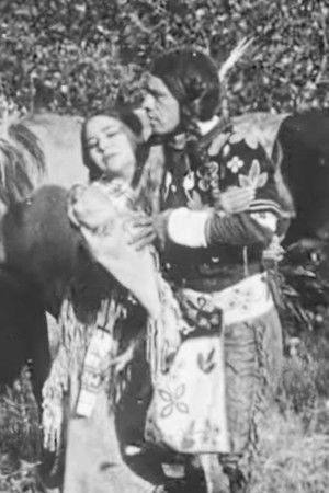 The Cheyenne's Bride