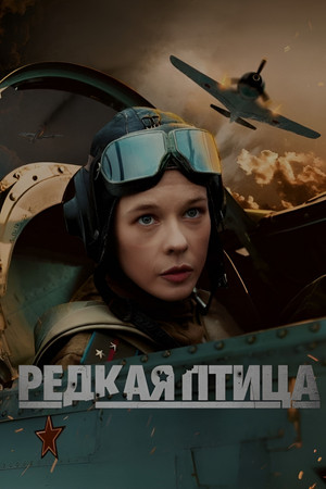 Редкая птица