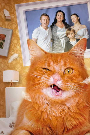 Котострофа