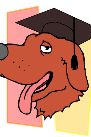 Standard Deviants TV