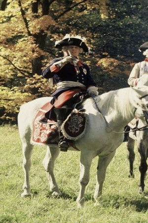 Die merkwürdige Lebensgeschichte des Friedrich Freiherrn von der Trenck