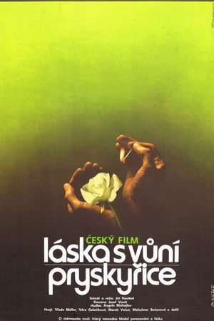 Láska s vůní pryskyřice