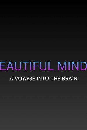 Expedition ins Gehirn