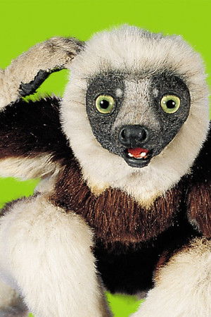 Zoboomafoo