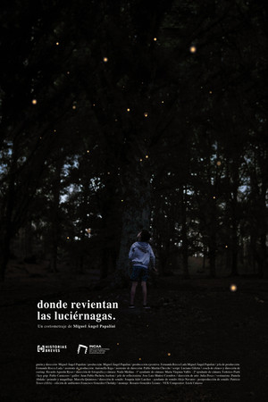 Donde revientan las luciérnagas