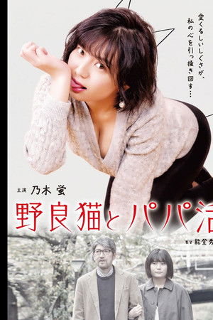 野良猫とパパ活