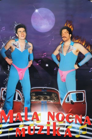 Мала ноћна музика