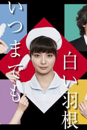 いつまでも白い羽根