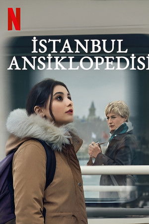 İstanbul Ansiklopedisi