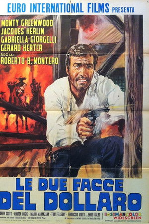 Le due facce del dollaro