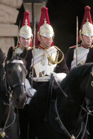 Her Majesty's Cavalry