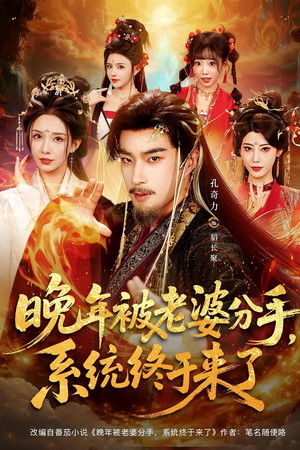 晚年被老婆分手，系统终于来了