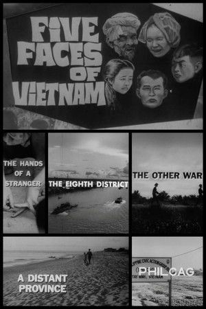 Five Faces of Vietnam