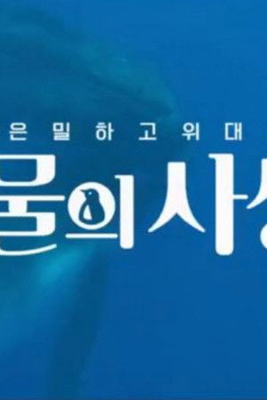 은밀하고 위대한 동물의 사생활