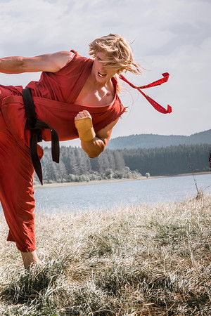 Street Fighter: Assassin's Fist