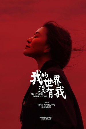 我的世界没有我